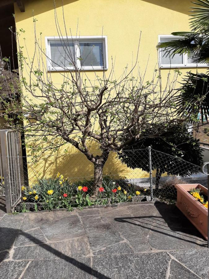 Apartamento Il Nido